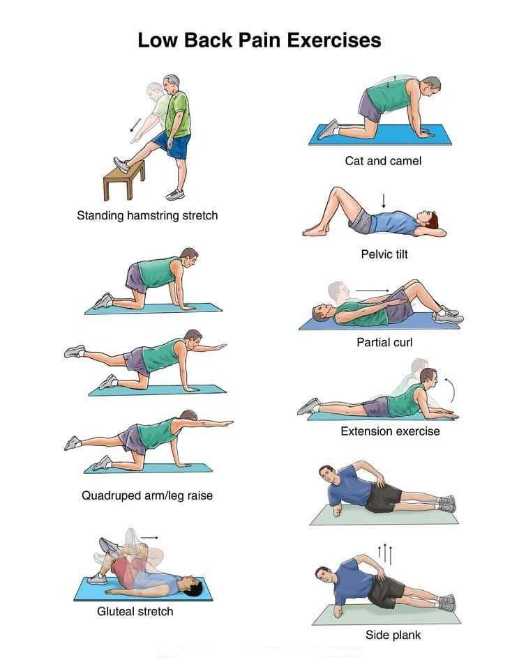 low back pain exercises