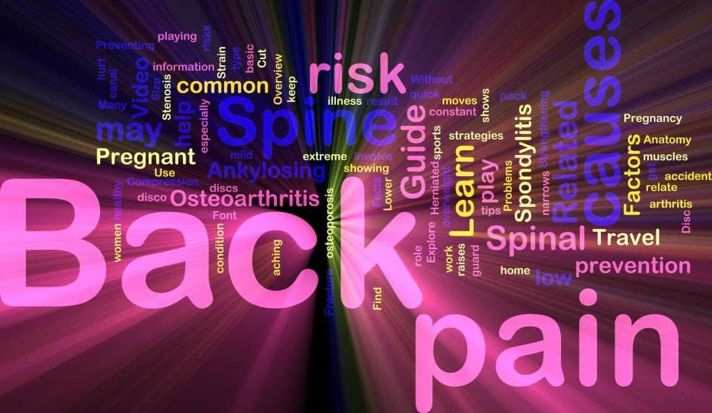 Complete information about back pain