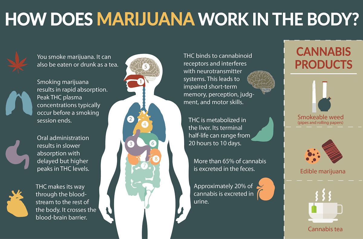Как марихуана влияет на печень листья конопли рисунок
