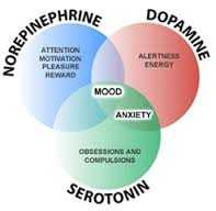Serotonin Norepinephrine Dopamine