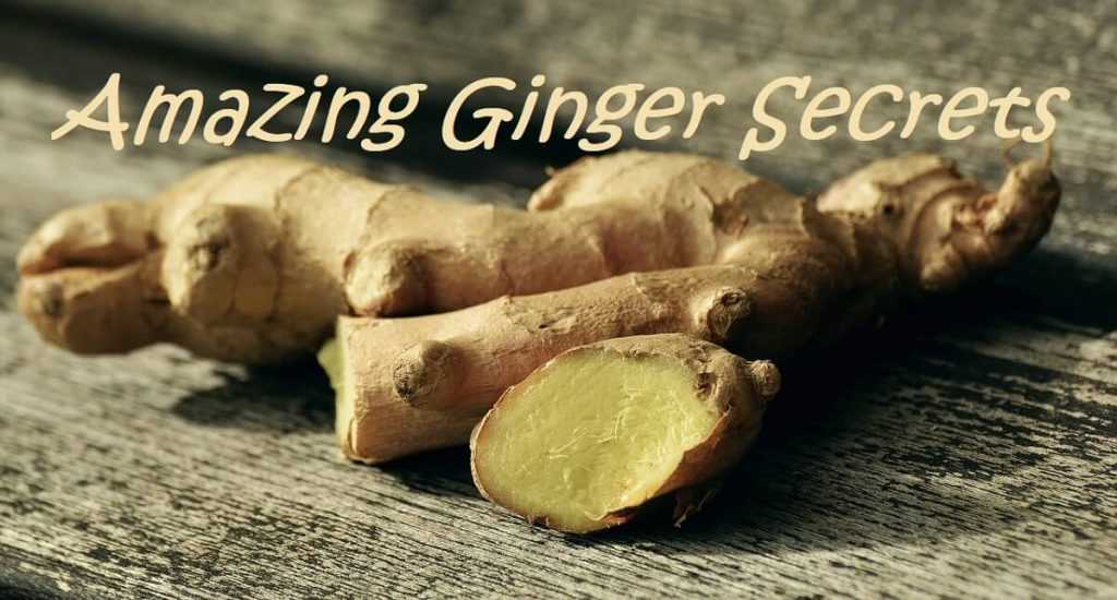 amazing ginger secrets