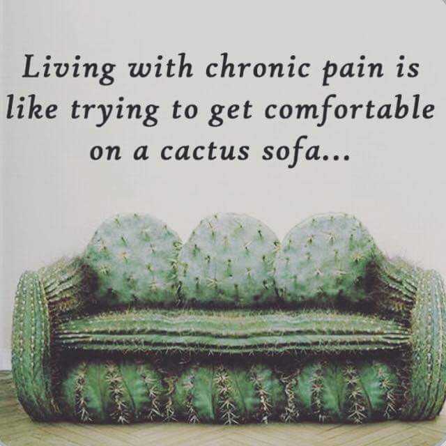 cactus sofa
