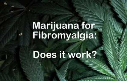 fibromyalgia marijuana