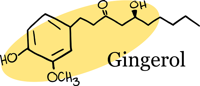 gingerol