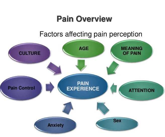 pain overview