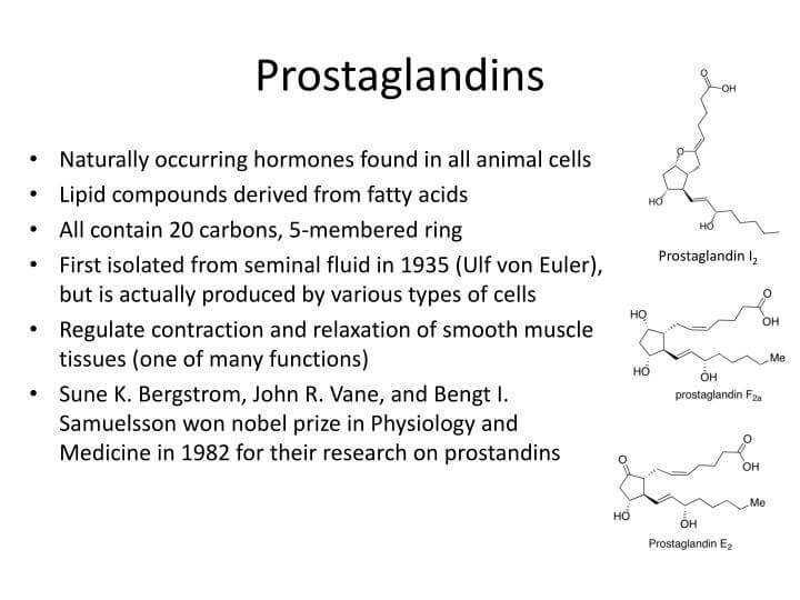 prostaglandins