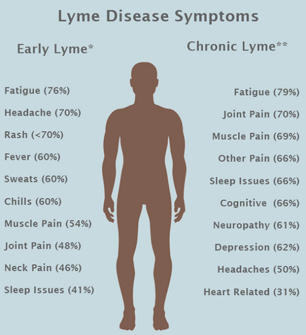 chronic symptoms of lyme disaese