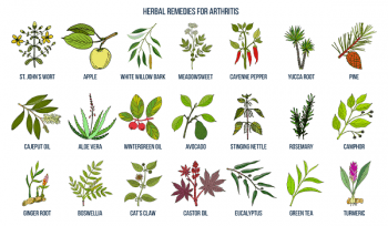 Best herbal remedies for osteoarthritis