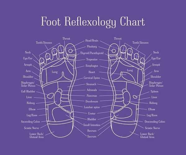 foot Reflexology