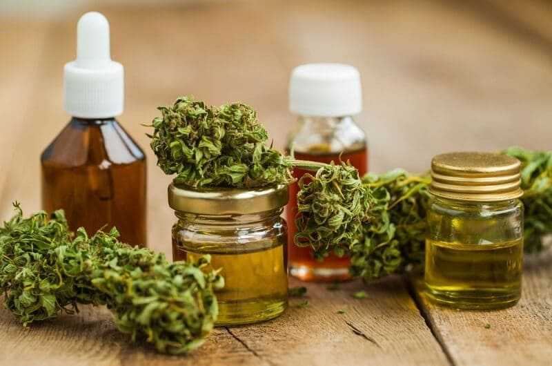 marijuana medical recreation cannabis oil cbd