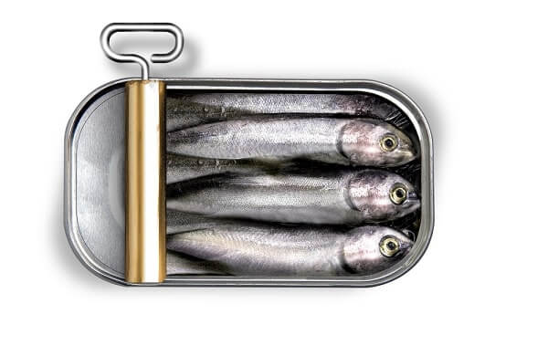Can of sardines