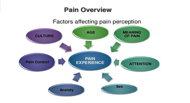 pain overview