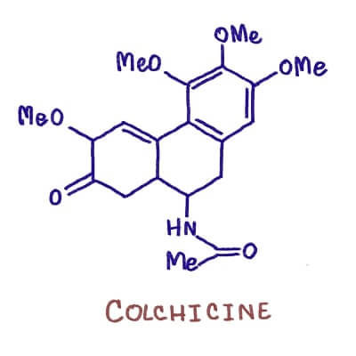  In addition to gout, colchicine is used to treat familial Mediterranean fever
