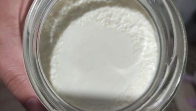 yogurt for crohn's disease